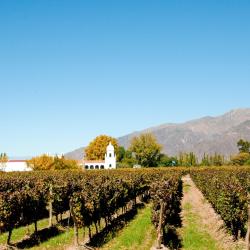 Cafayate Accommodation Alabama