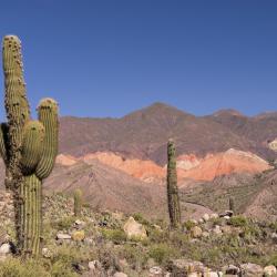 Jujuy Accommodation Alabama