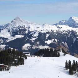 Kitzbuhel Accommodation Alabama