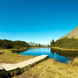 Montafon Accommodation Alabama