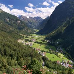 Pitztal Accommodation Alabama