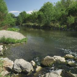 Schwechat Accommodation Alabama