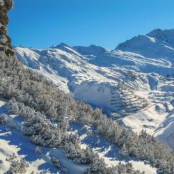 St. Anton Accommodation Alabama