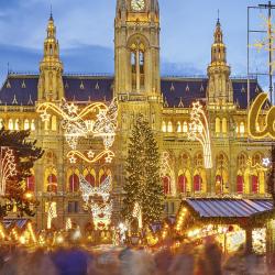 Vienna Christmas Market, Vienna Accommodation Alabama