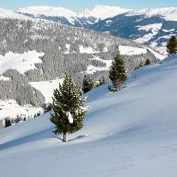 Zillertal Accommodation Alabama