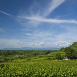 Baden-Württemberg Accommodation Alabama