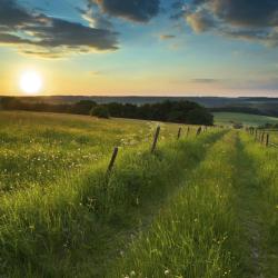 Eifel Accommodation Alabama