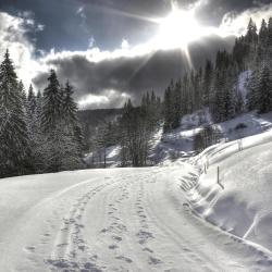 Feldberg Accommodation Alabama