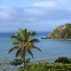 Greater Antilles Accommodation Alabama