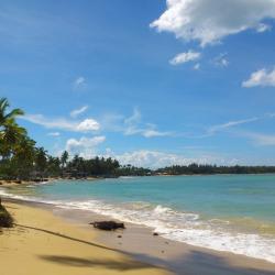 Las Terrenas Accommodation Alabama