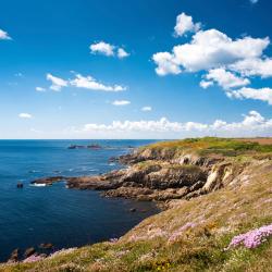 Brittany Accommodation Alabama