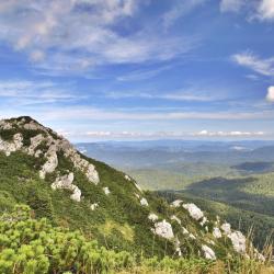 Gorski kotar Accommodation Alabama