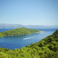 Mljet Island Accommodation Alabama
