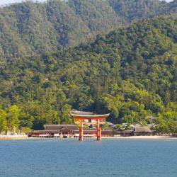 Aichi Accommodation Alabama