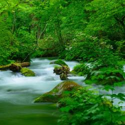 Aomori Accommodation Alabama