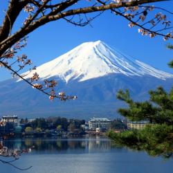 Fujikawaguchiko Accommodation Alabama