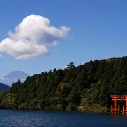 Hakone Accommodation Alabama