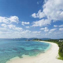 Okinawa Accommodation Alabama