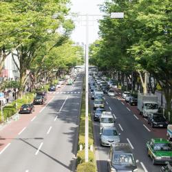 Omotesando, Tokyo Accommodation Alabama