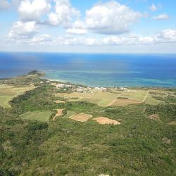 Yaeyama Islands Accommodation Alabama