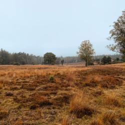 Achterhoek Accommodation Alabama