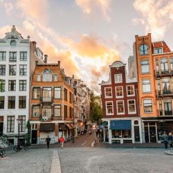 Amsterdam Accommodation Alabama