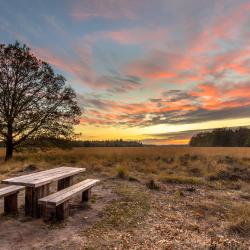 Drenthe Accommodation Alabama