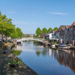 Friesland Accommodation Alabama