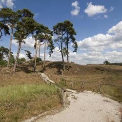 Gelderland Accommodation Alabama