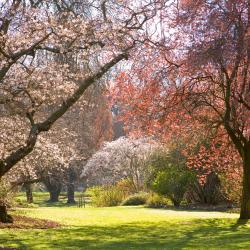 Christchurch Accommodation Alabama