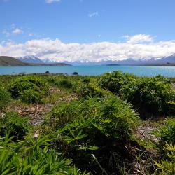 Lake Tekapo Accommodation Alabama