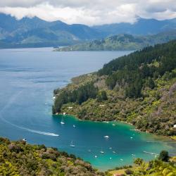 Marlborough Sounds Accommodation Alabama