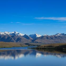South Island Accommodation Alabama