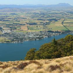 Te Anau Accommodation Alabama