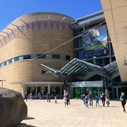 Te Papa Museum, Wellington Accommodation Alabama