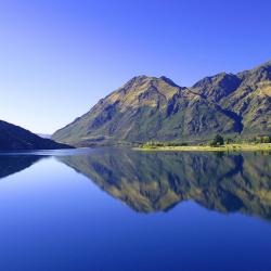 Wanaka Accommodation Alabama