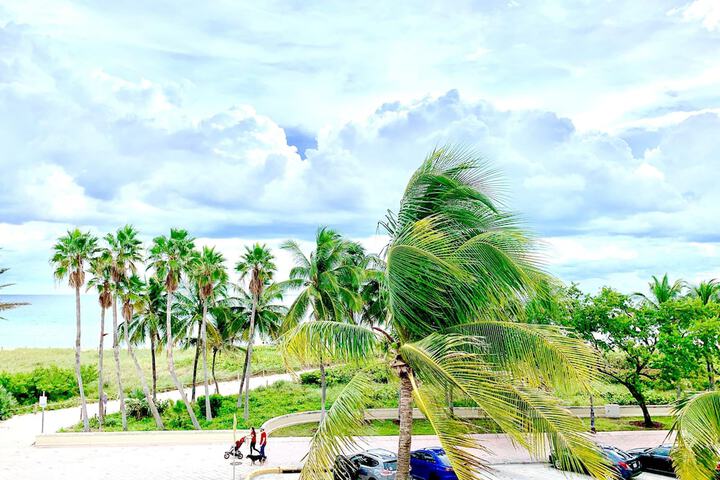 Broadmore Miami Beach - thumb 7