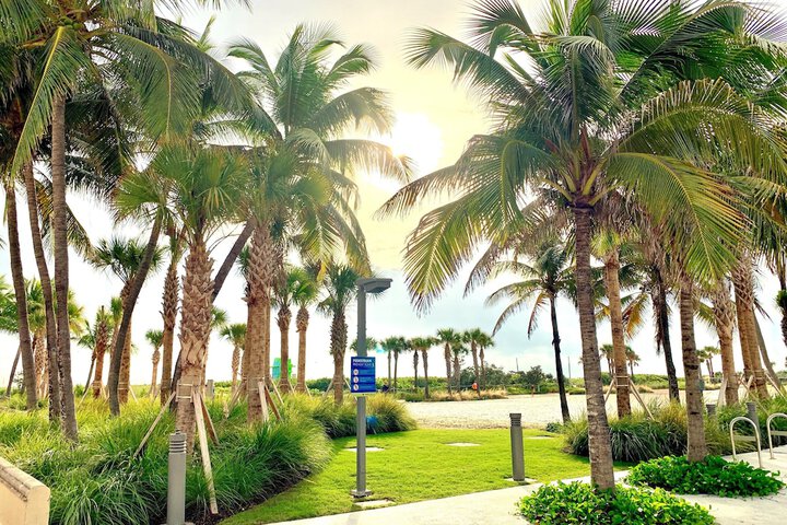 Broadmore Miami Beach - thumb 3