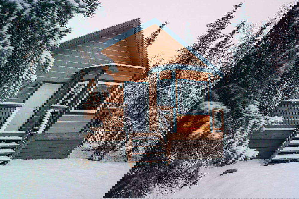 Denali Wild Stay - thumb 3