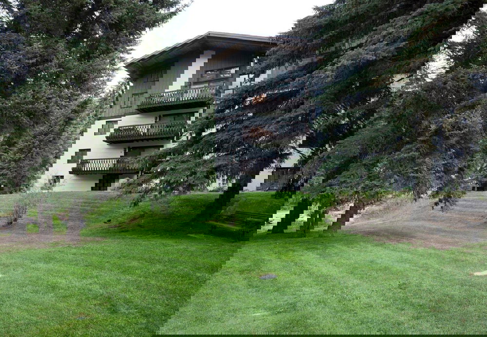 2-385 Gore Creek Dr Vorlaufer 201 - thumb 3