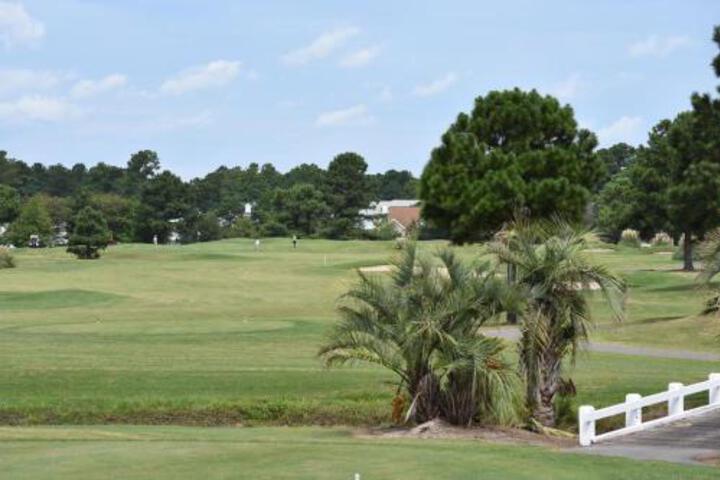 1202M Condo - thumb 6