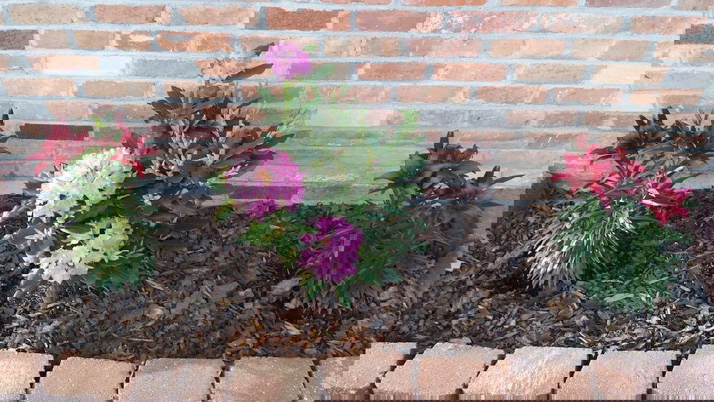 River Country Motor Lodge - thumb 6