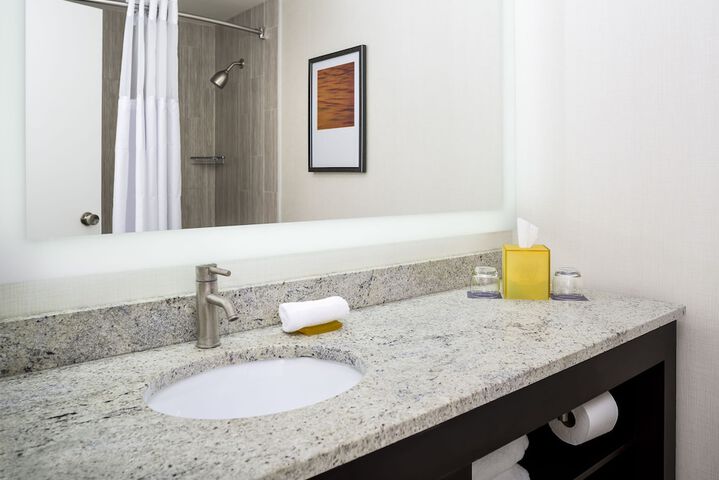 Hyatt Regency Suites Atlanta Northwest - thumb 7