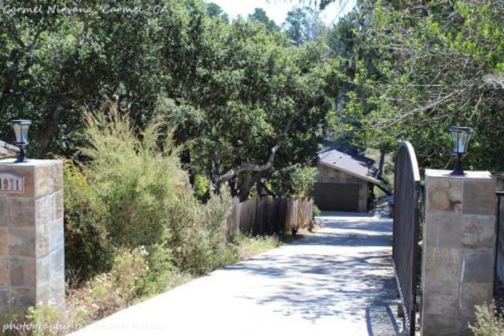 Carmel Nirvana - thumb 0