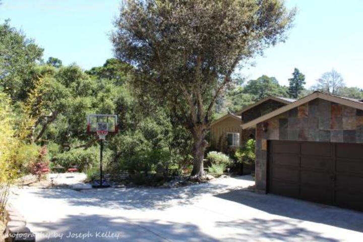 Carmel Nirvana - thumb 5