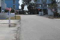 Buckeyes at the Beach Home