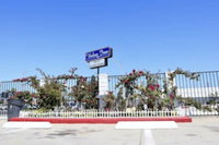 Bellflower Ca Accommodation Alabama