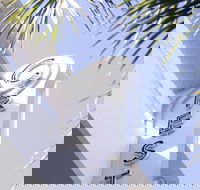 Crest Hotel Suites - Accommodation Alabama