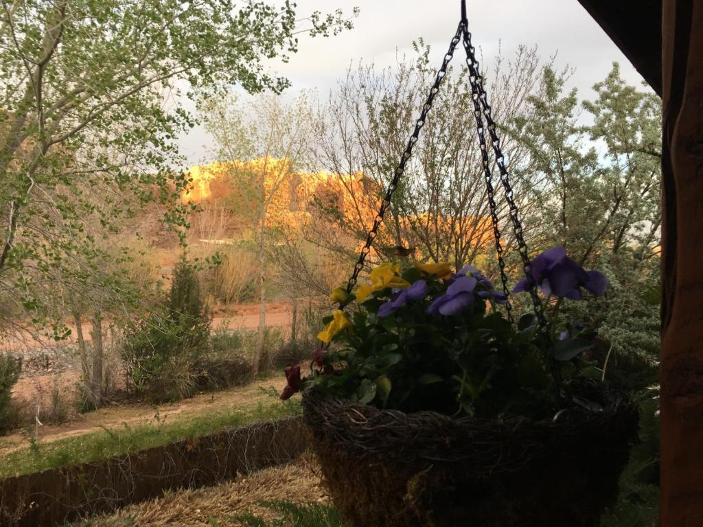 Canyon Wren Bed & Breakfast - thumb 3