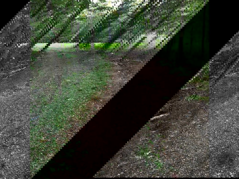 Tentrr Crooked Run - thumb 6